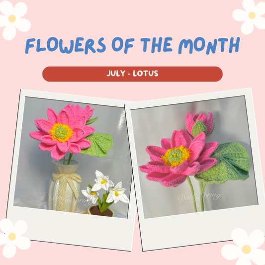 Flower of the Month: The Enchanting Lotus