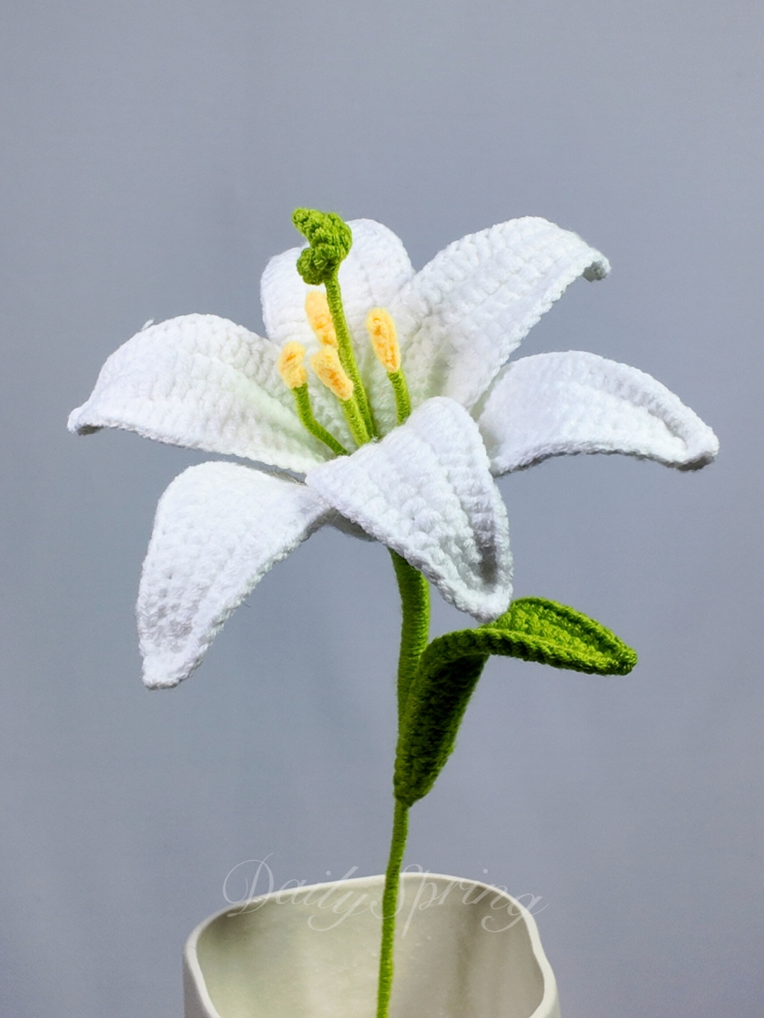 Lily – DailySpring