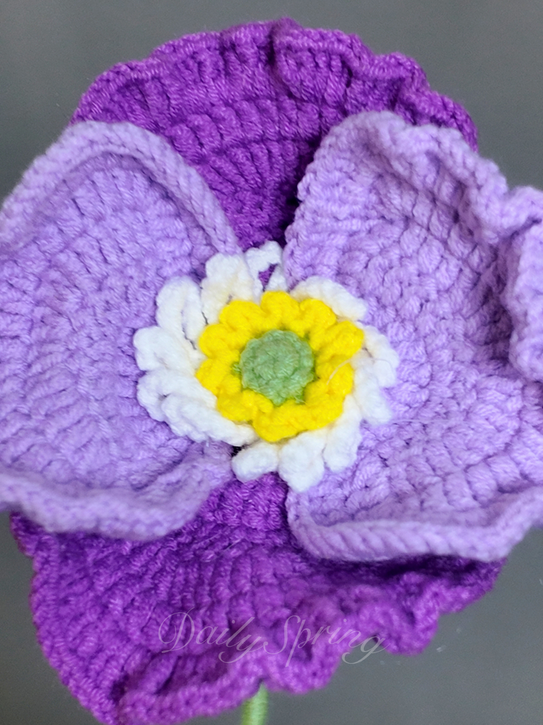 Anemone