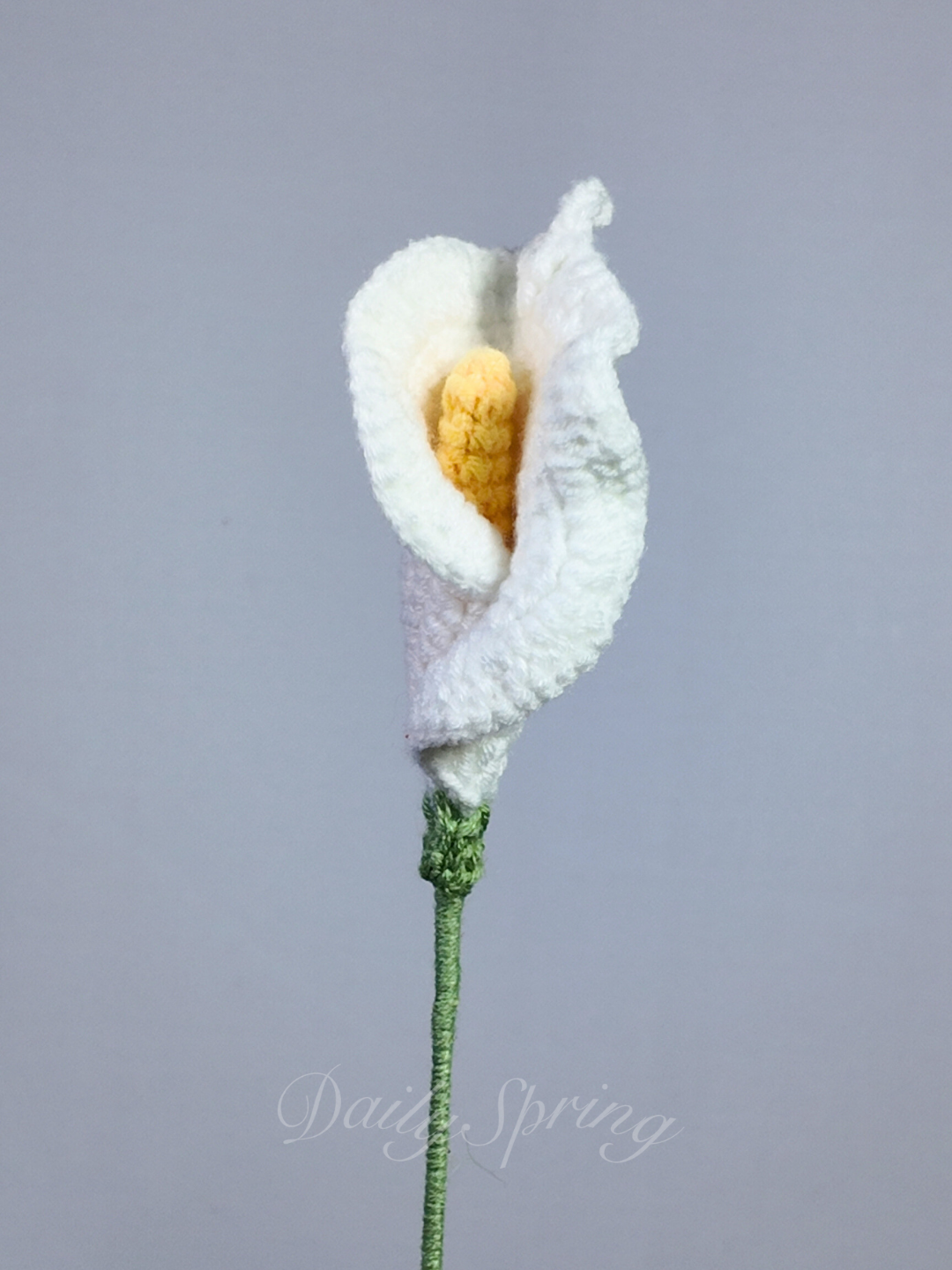 Calla Lily