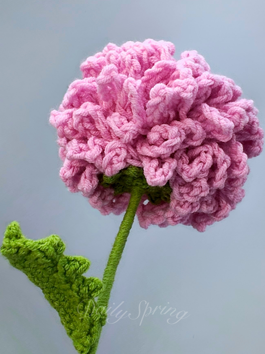 Dahlia