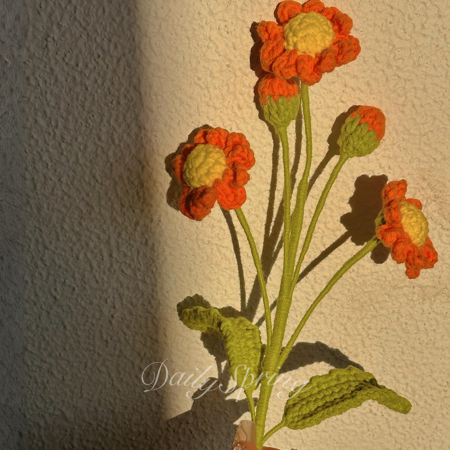Multi-Daisies