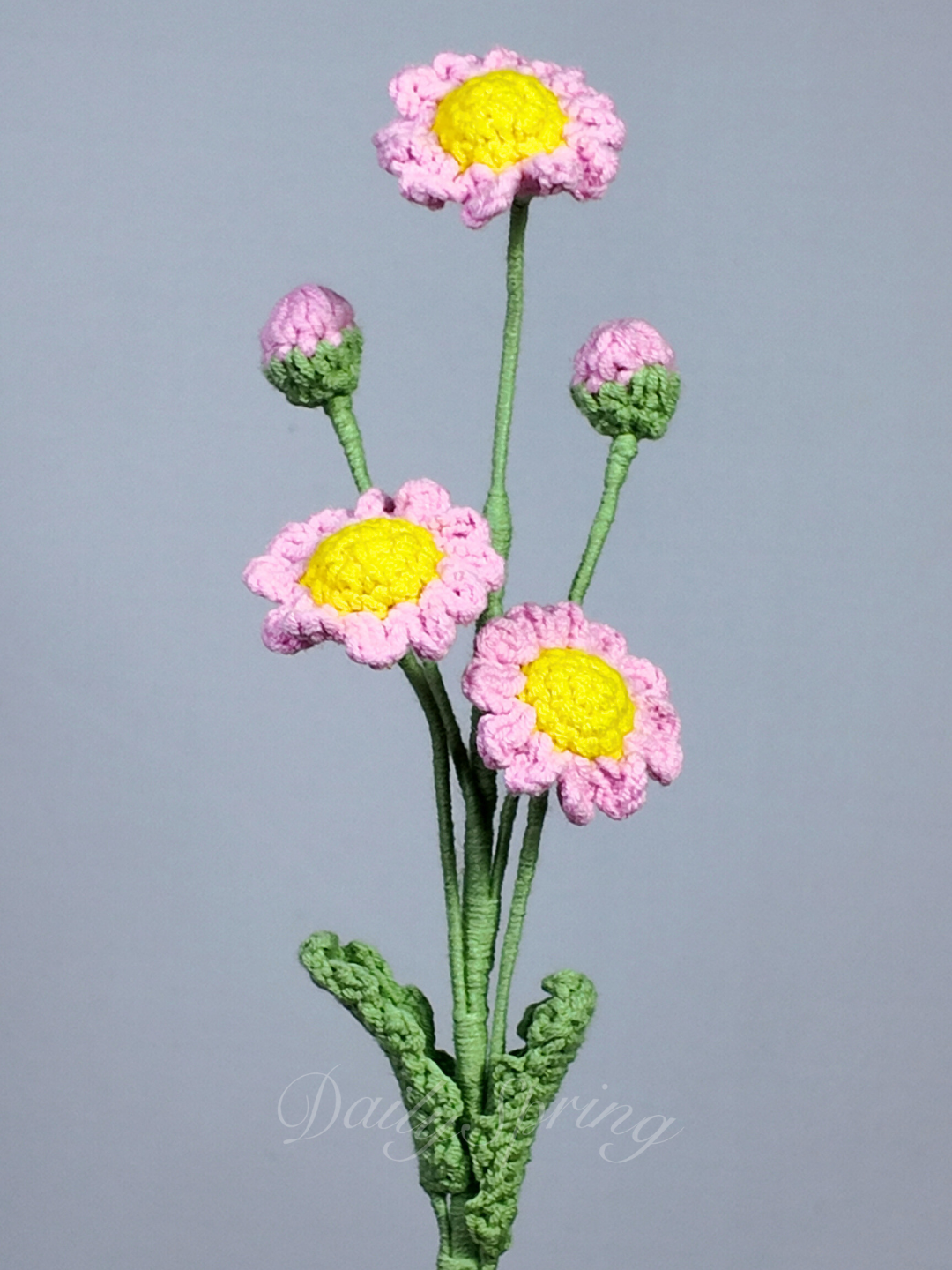 Multi-Daisies