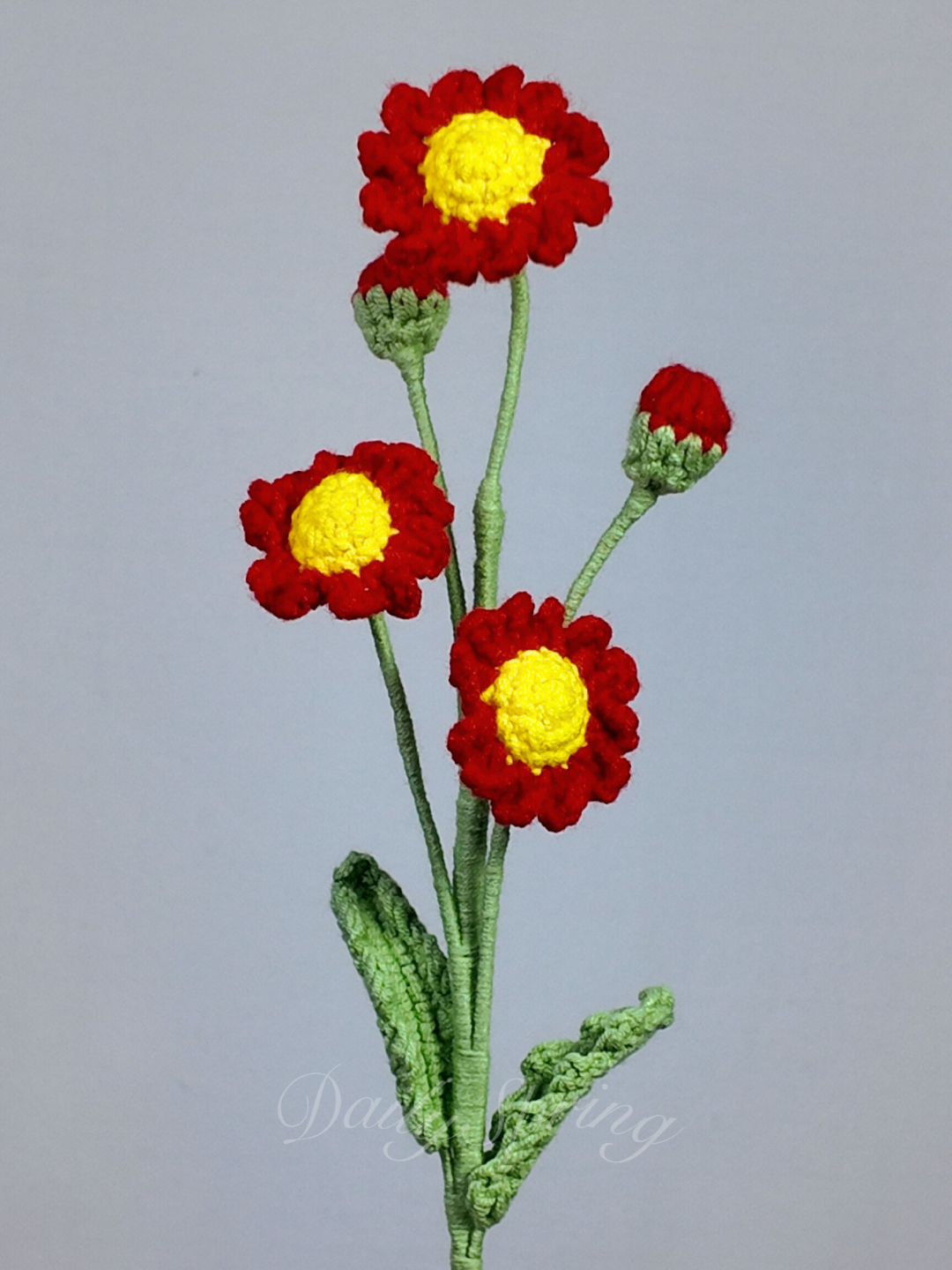 Multi-Daisies