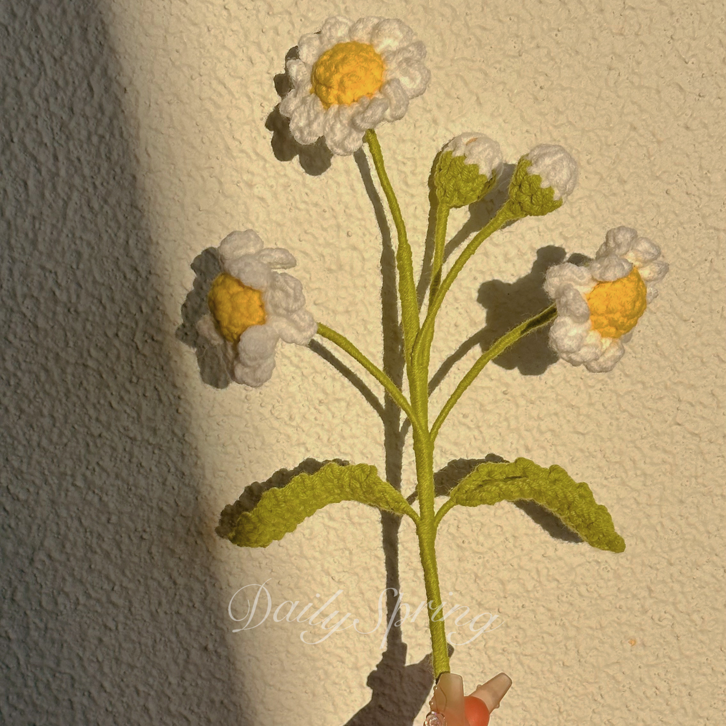 Multi-Daisies