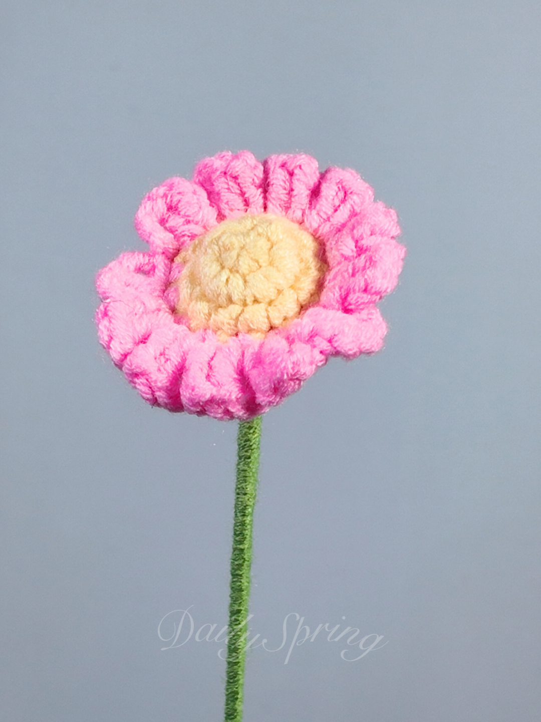 Daisy