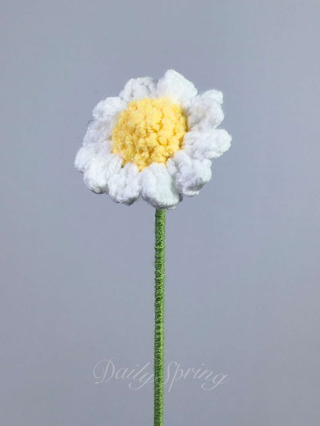 Daisy