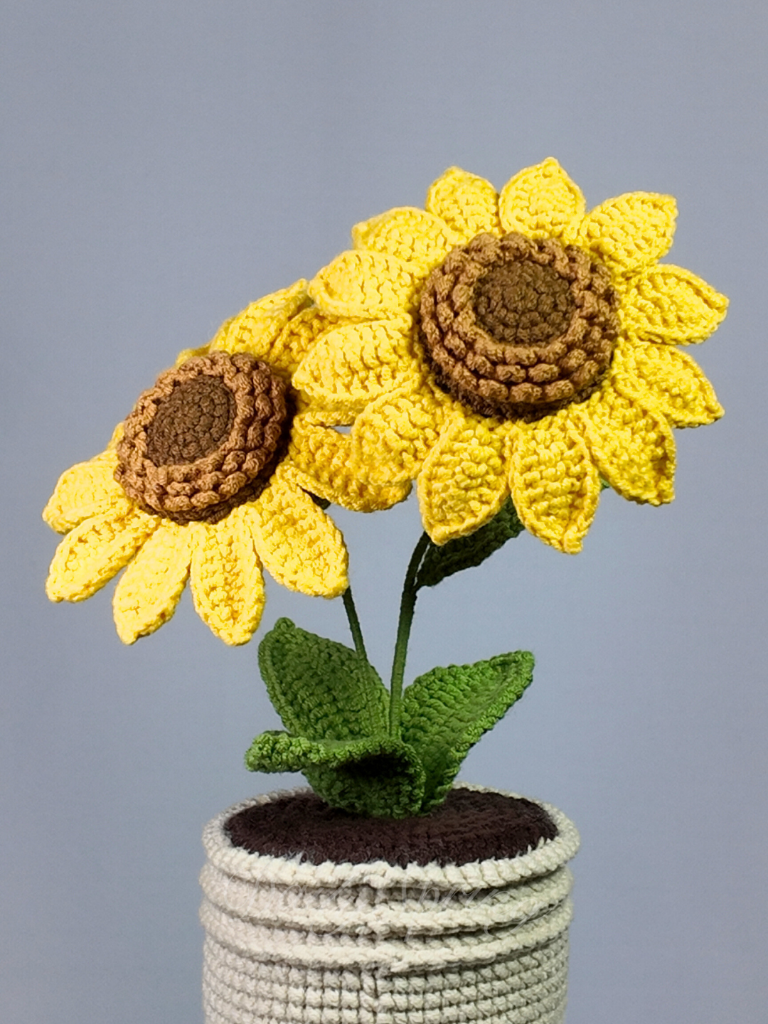 Double Sunflowers Pot