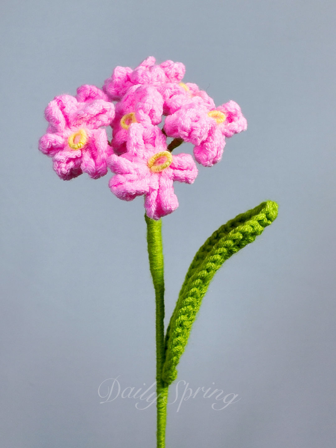 Forget-Me-Not