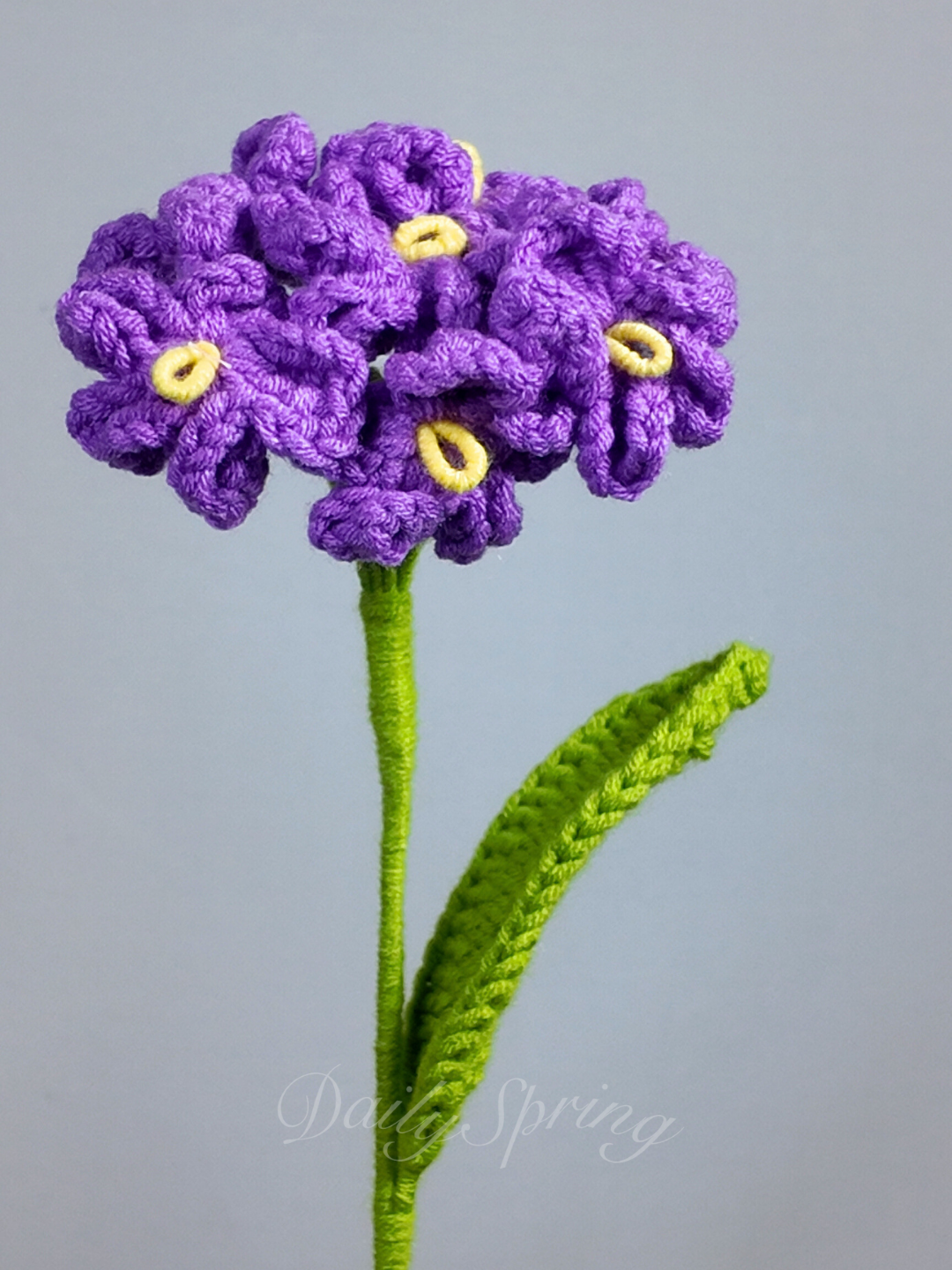 Forget-Me-Not