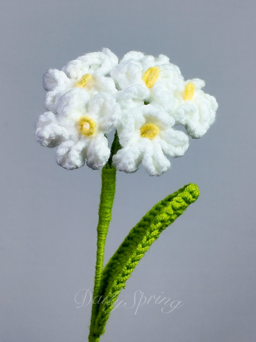 Forget-Me-Not