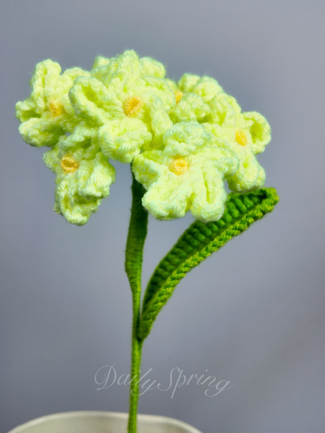 Forget-Me-Not