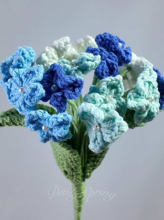 Hydrangea