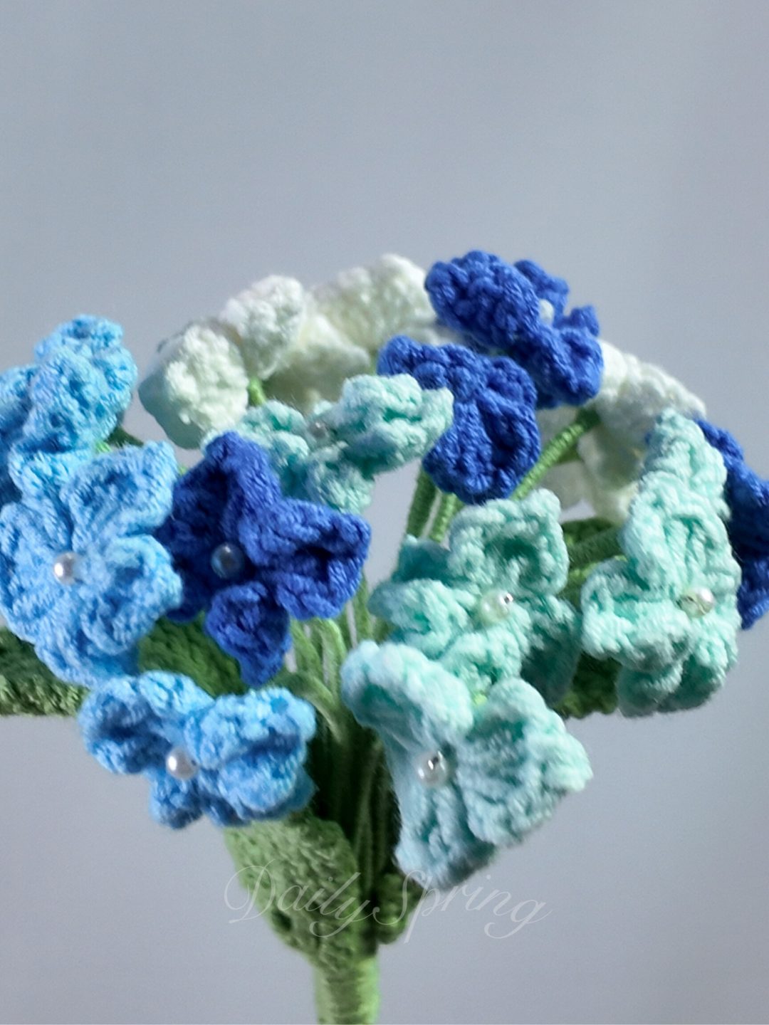 Hydrangea