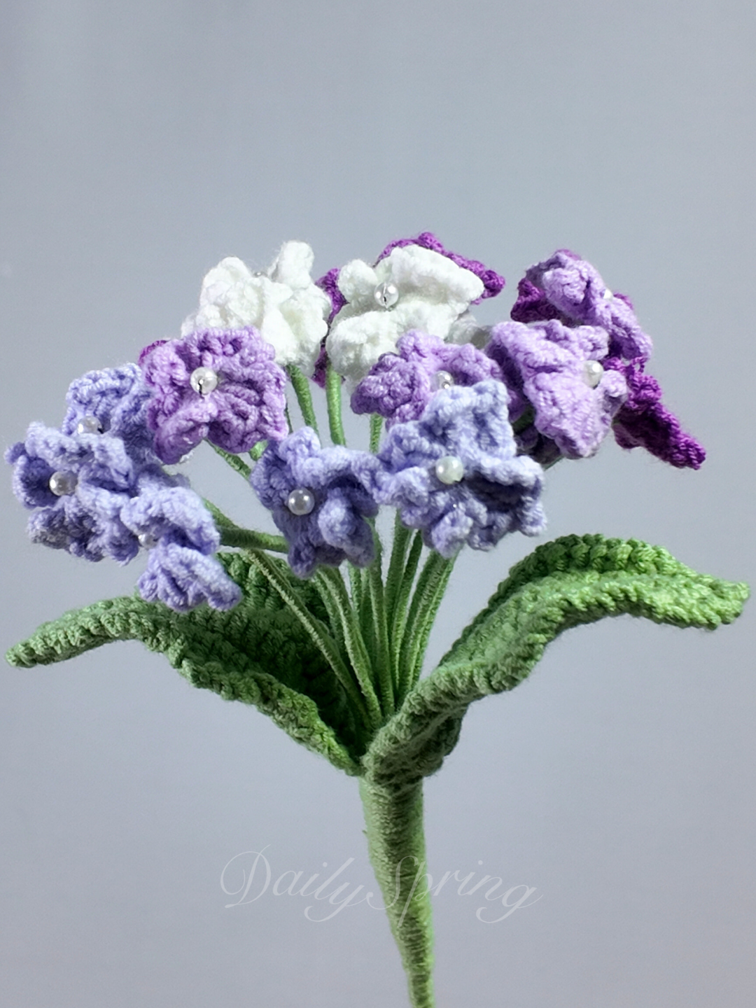 Hydrangea