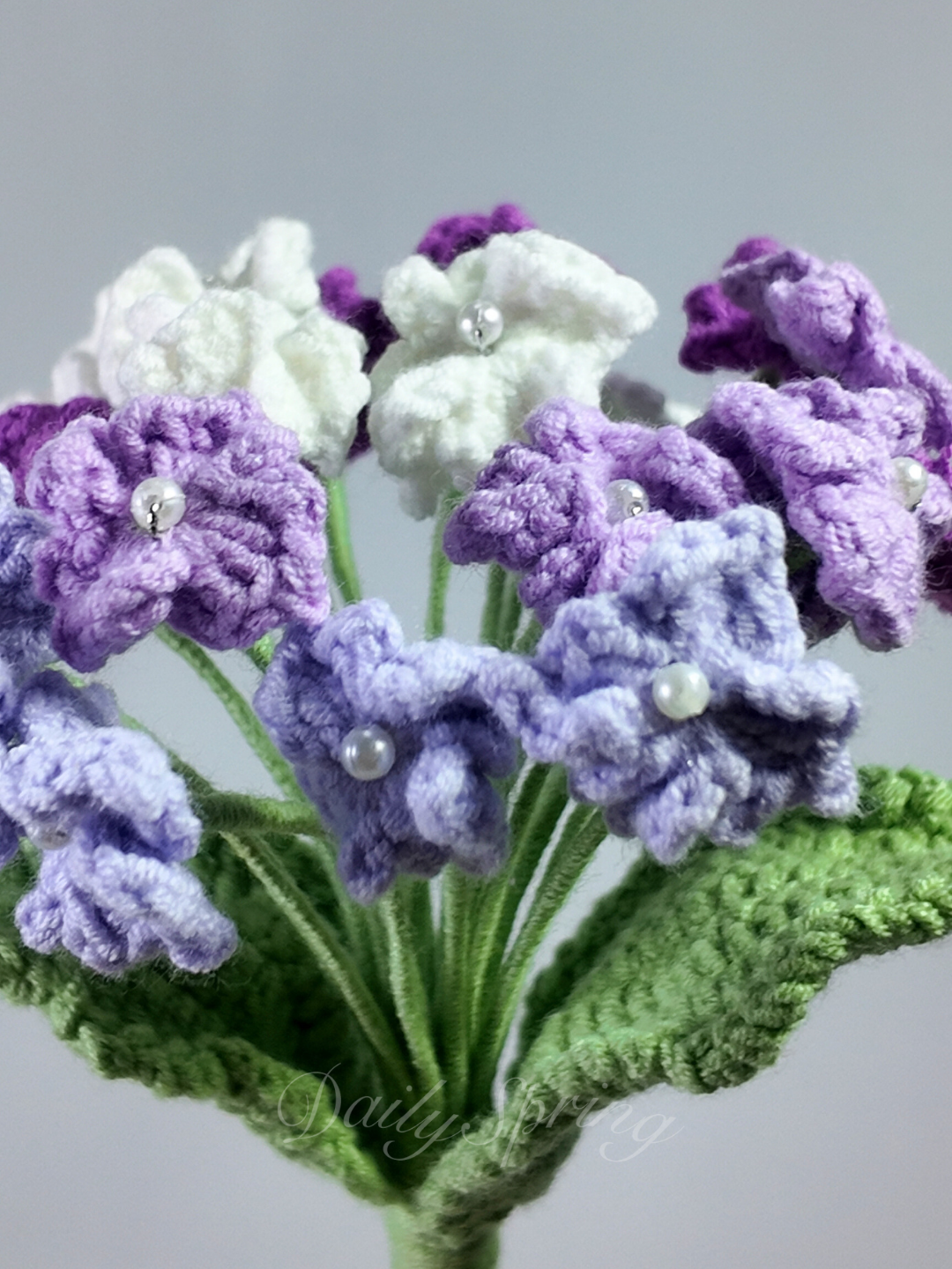 Hydrangea