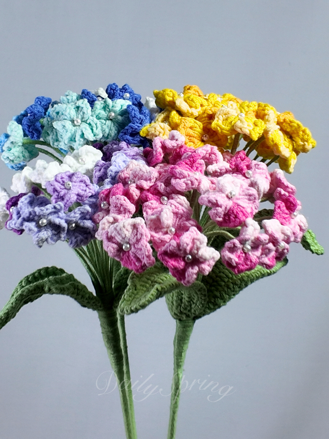 Hydrangea