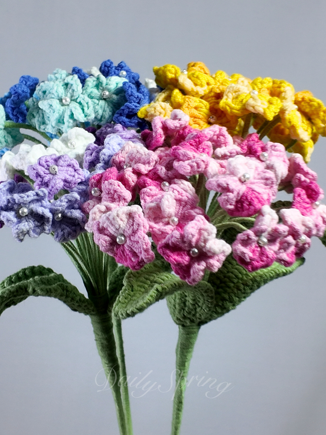 Hydrangea