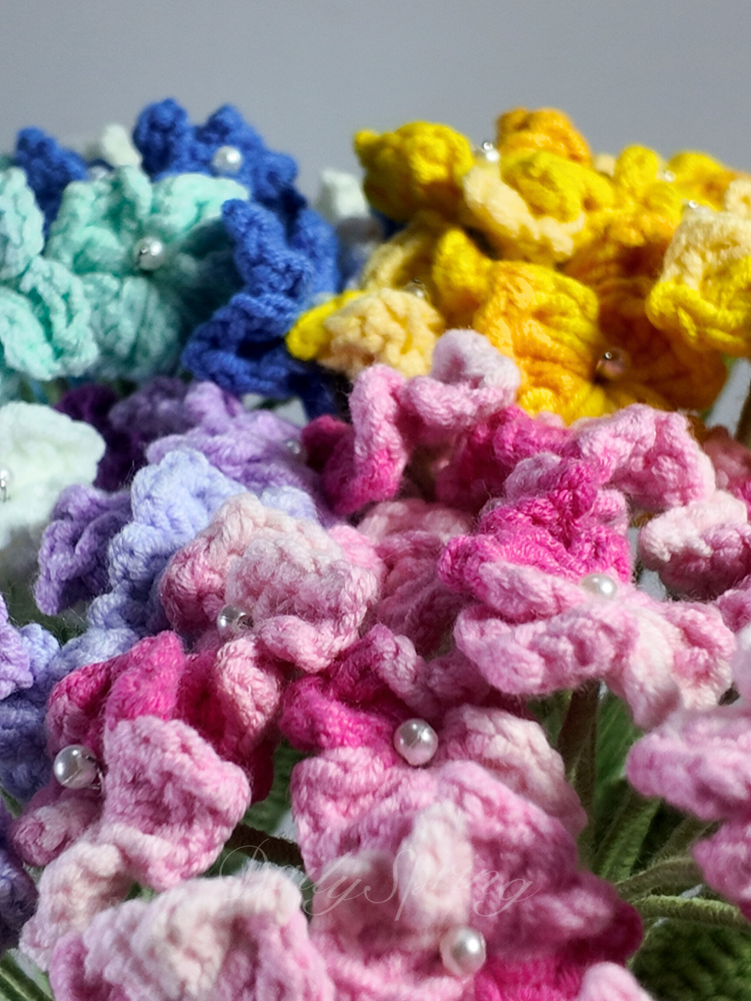 Hydrangea