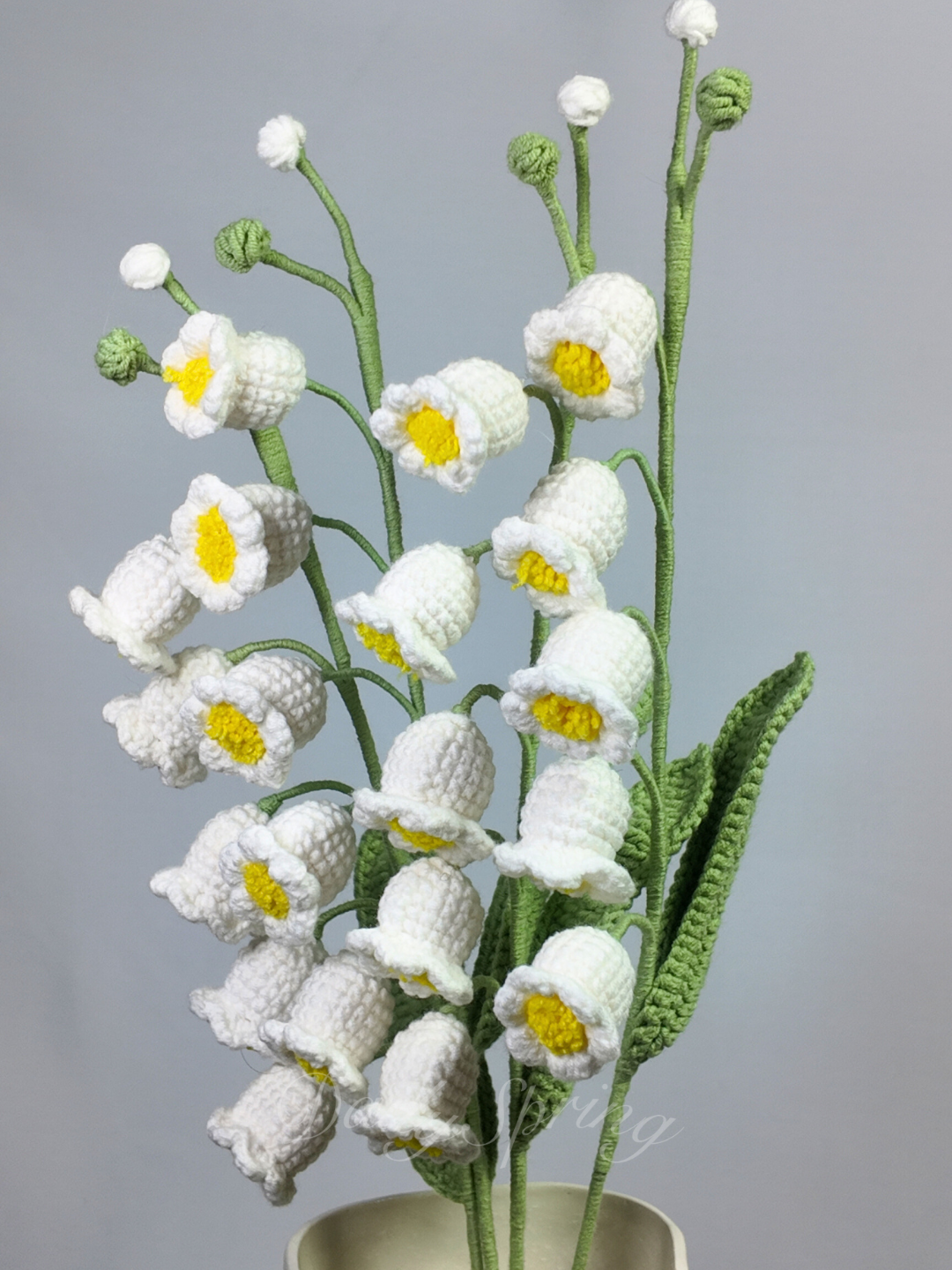 Lily of Valley