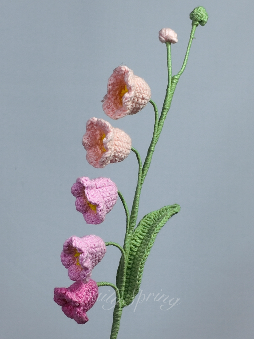 Lily of Valley