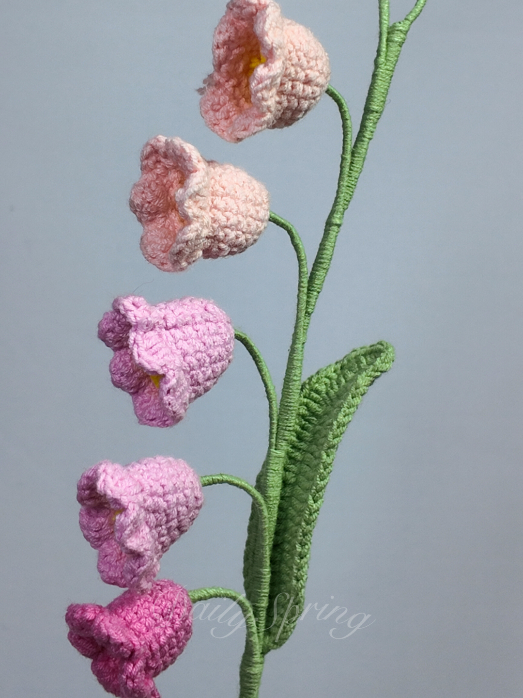 Lily of Valley