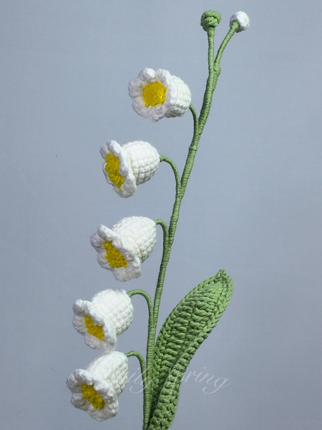 Lily of Valley