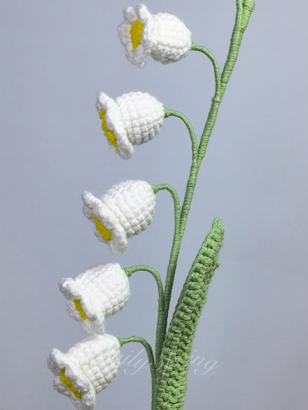 Lily of Valley