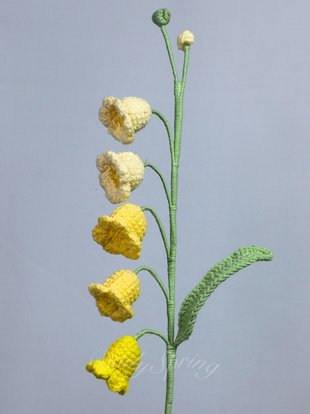 Lily of Valley