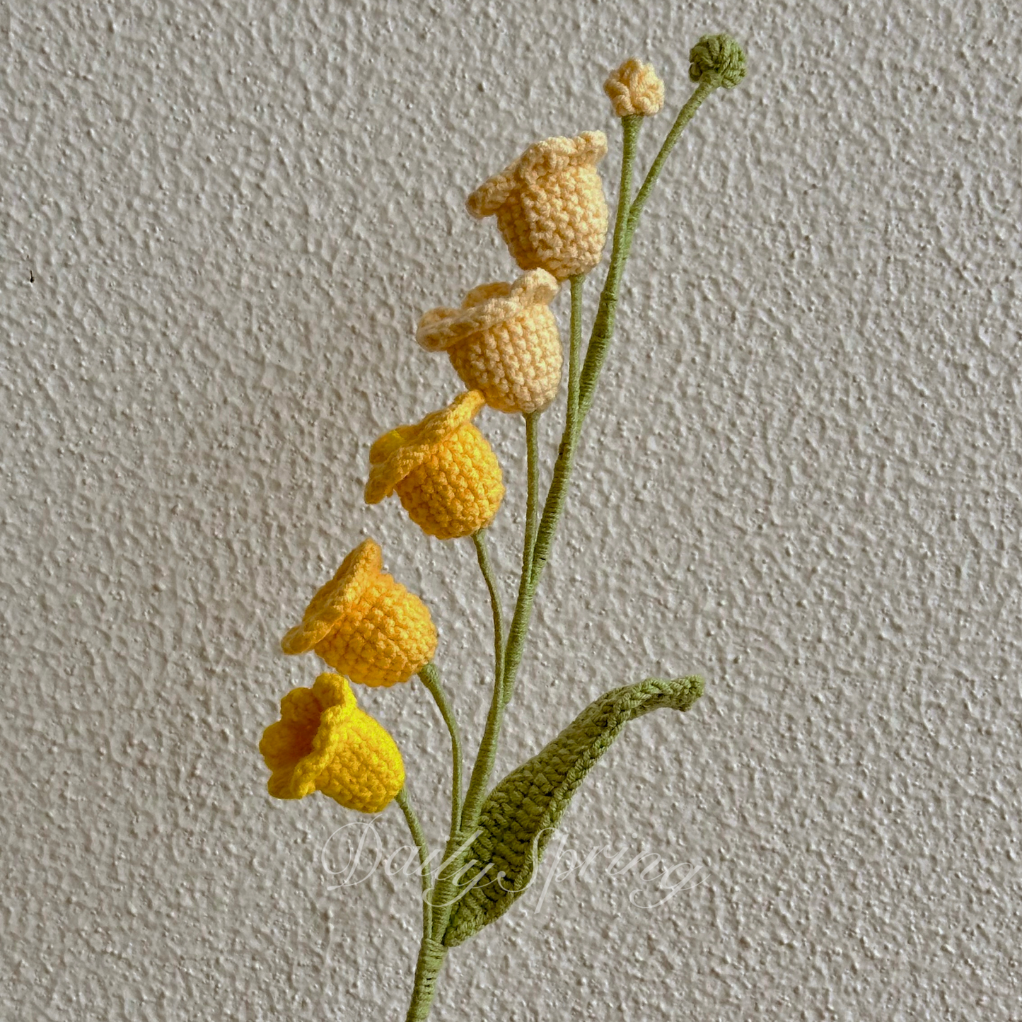 Lily of Valley