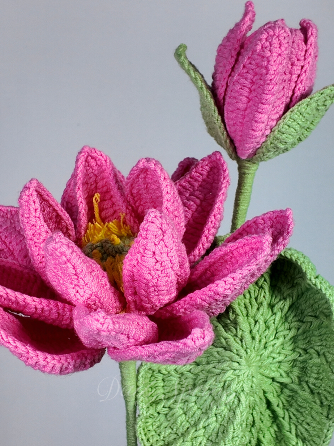 Lotus