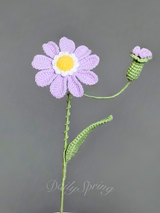 Mini Gerbera Daisy