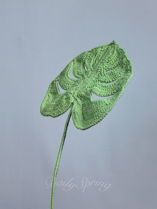 Monstera leaf