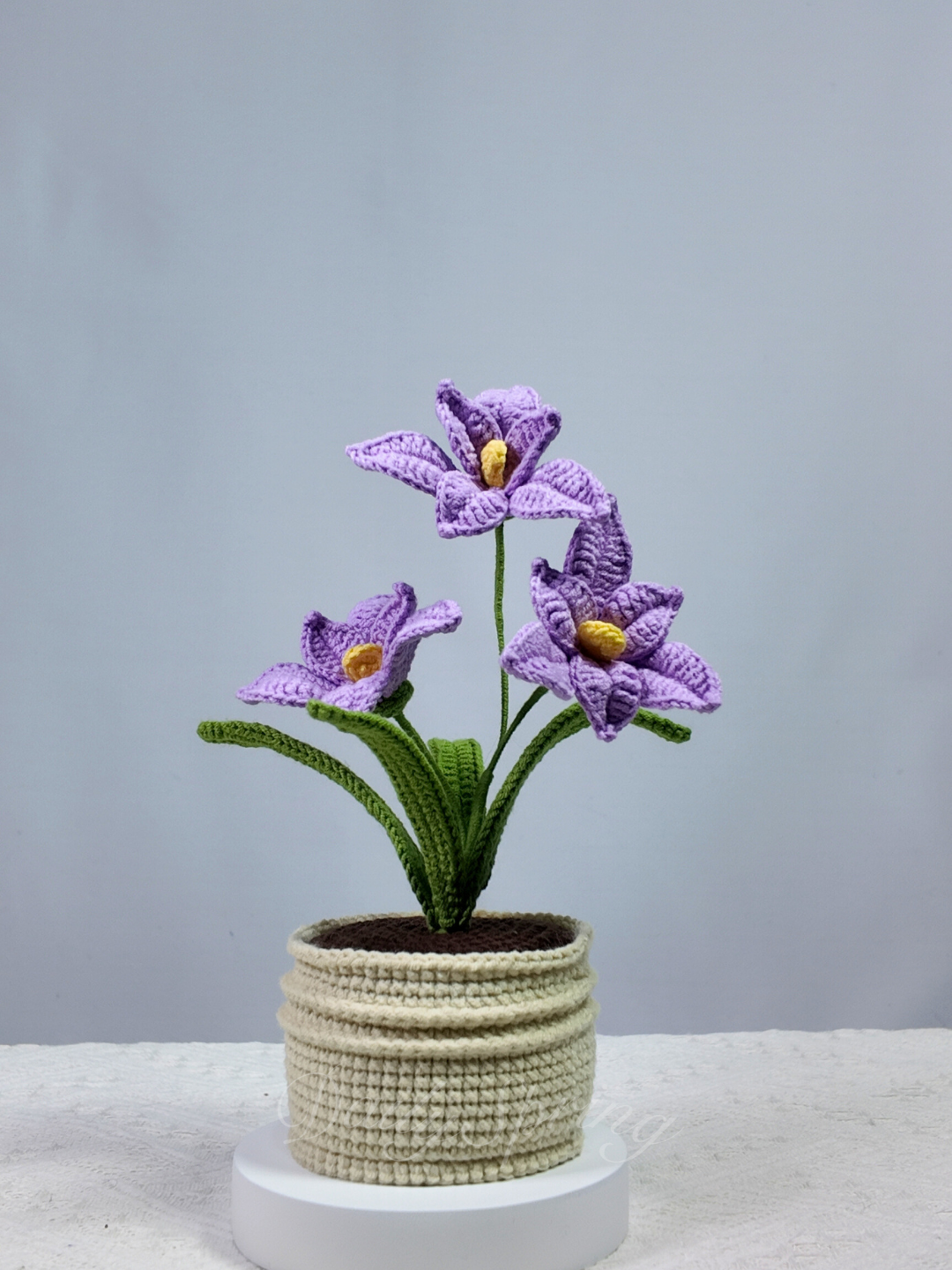 Orchid Pot