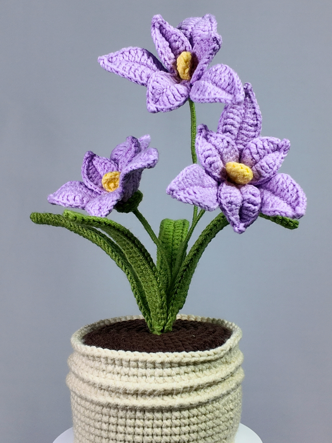 Orchid Pot