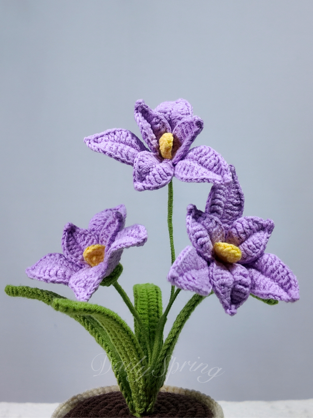 Orchid Pot