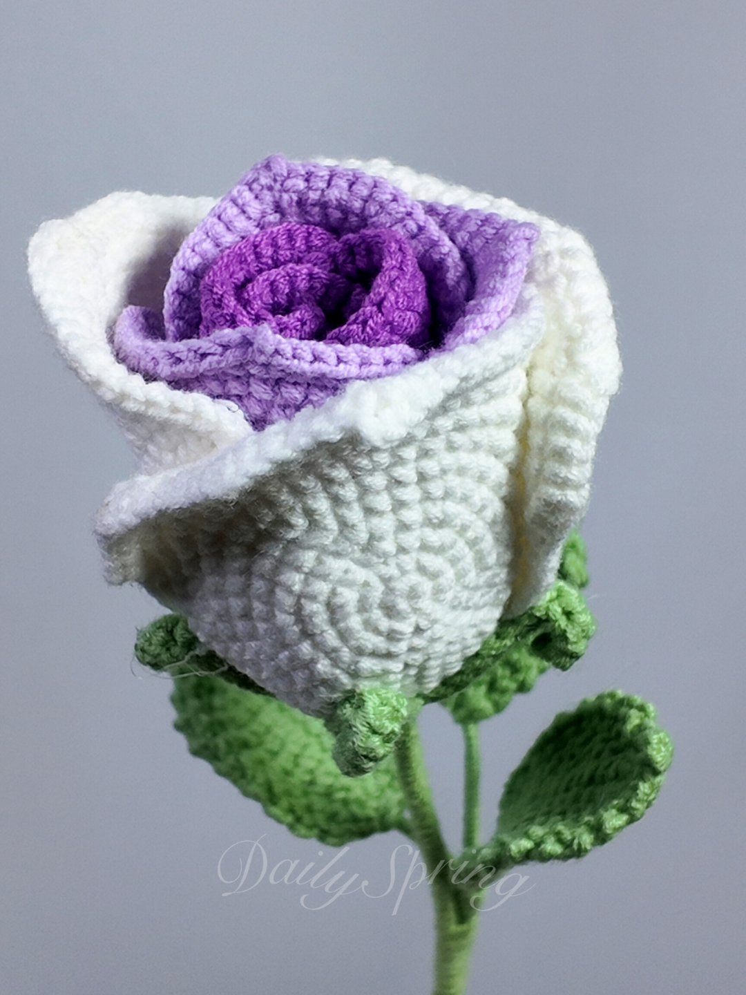 Belle Rose
