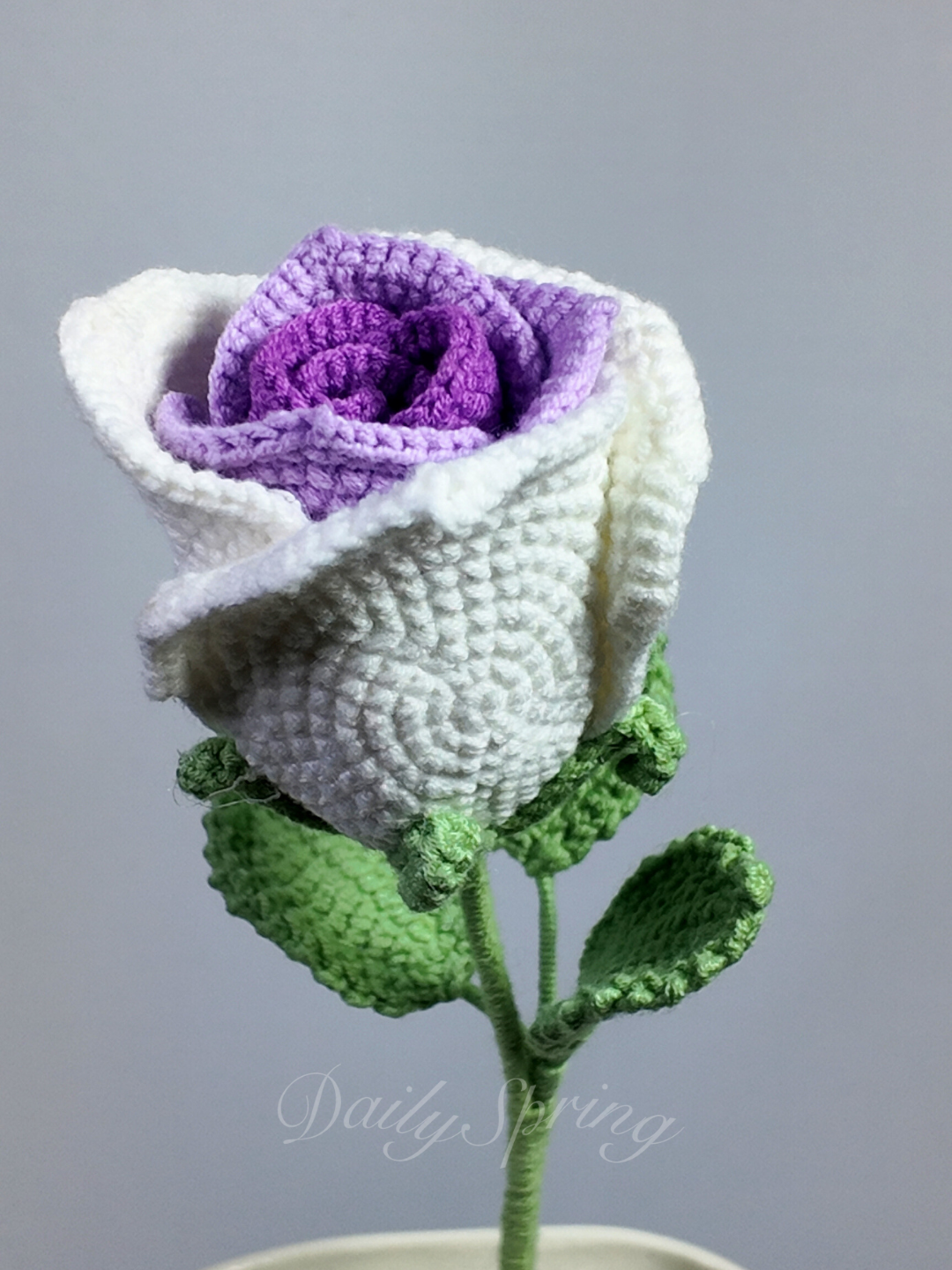 Belle Rose