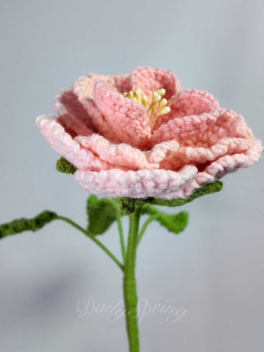 French Rose