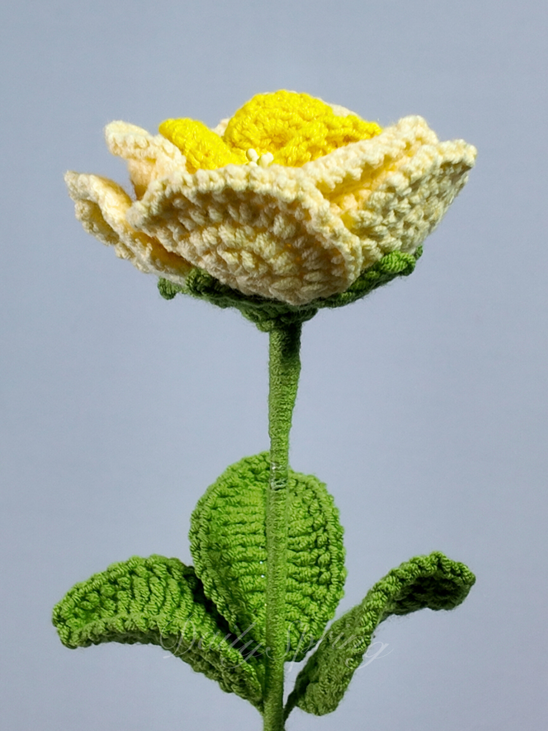 French Rose