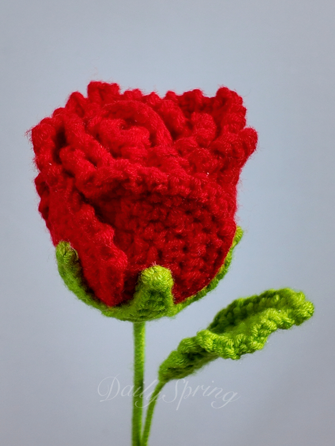 Garden Rose