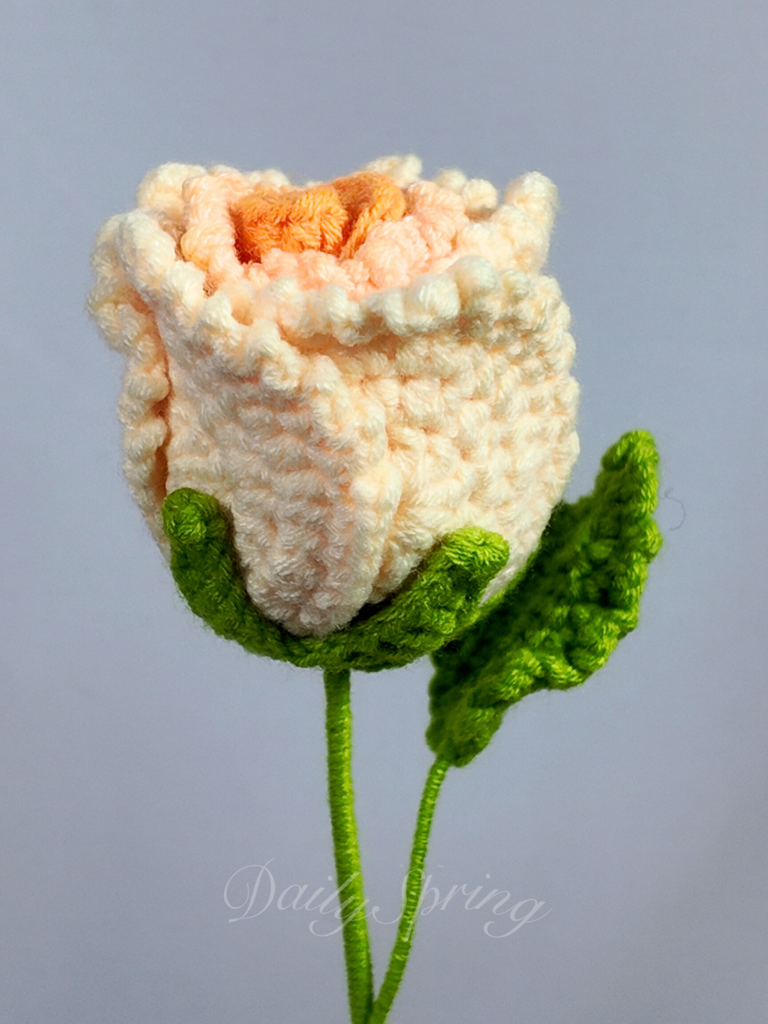 Garden Rose