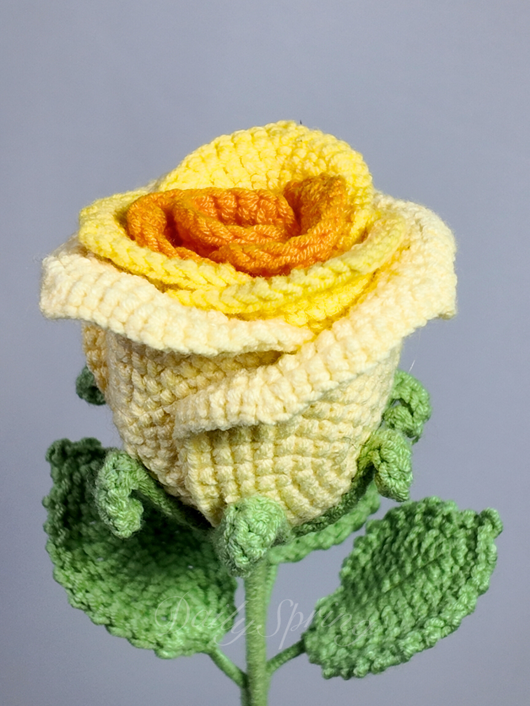 Belle Rose