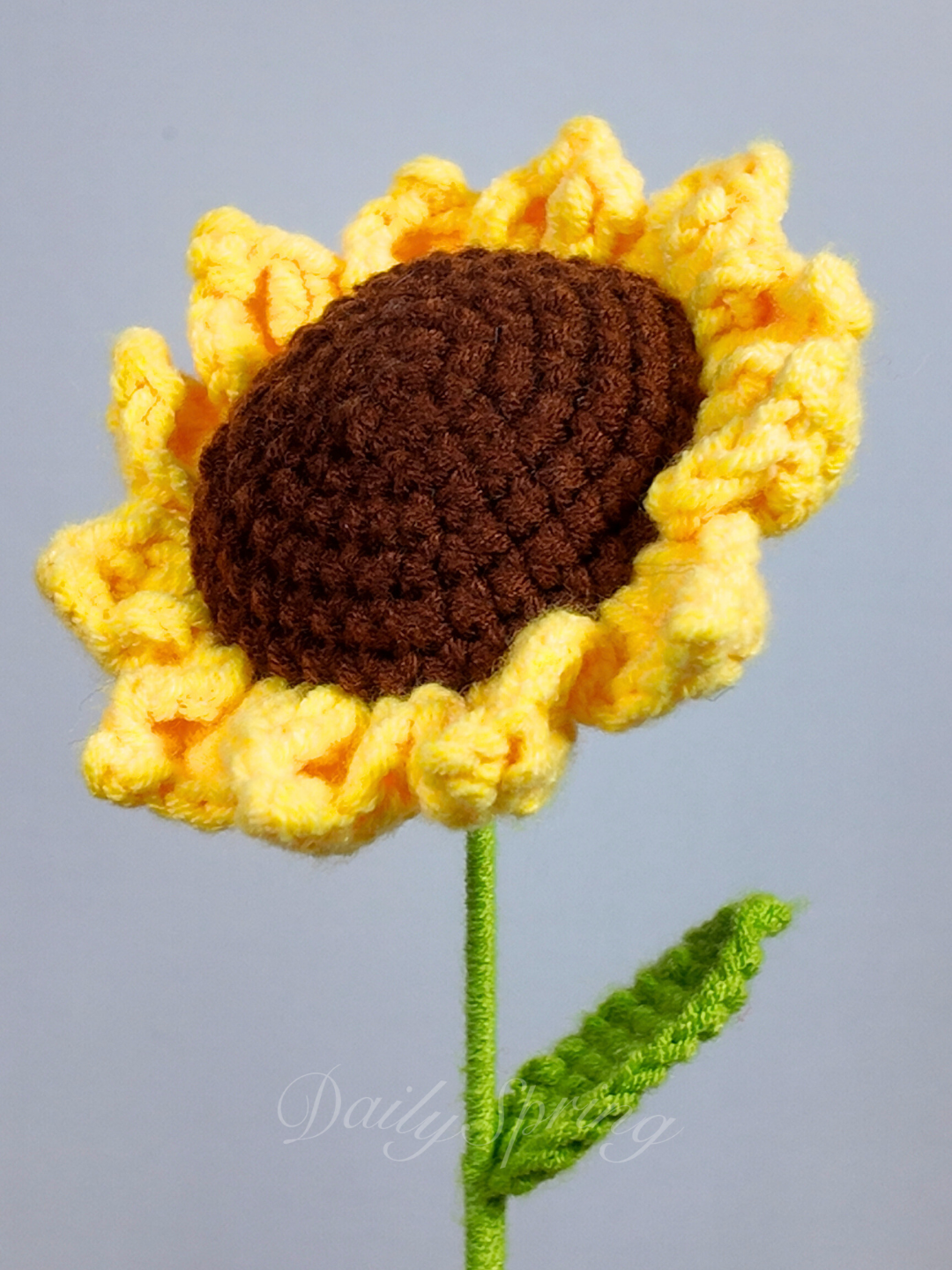 Baby Sunflower