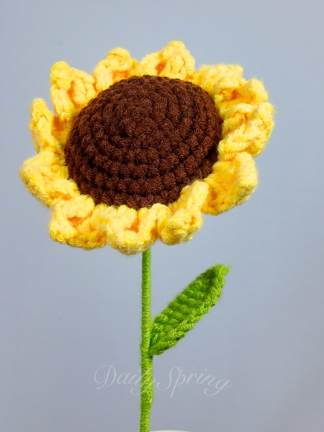 Baby Sunflower
