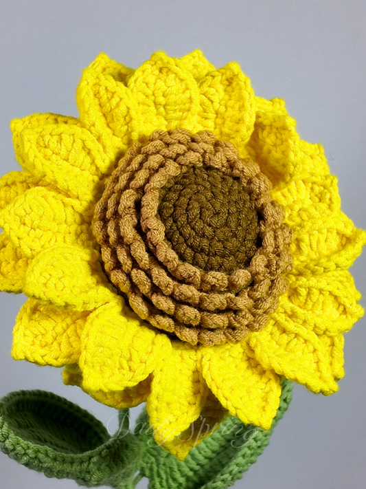 Large Sunflower