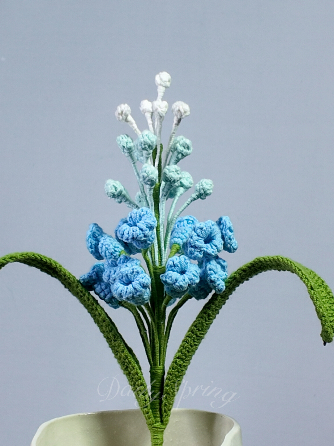 Snapdragons