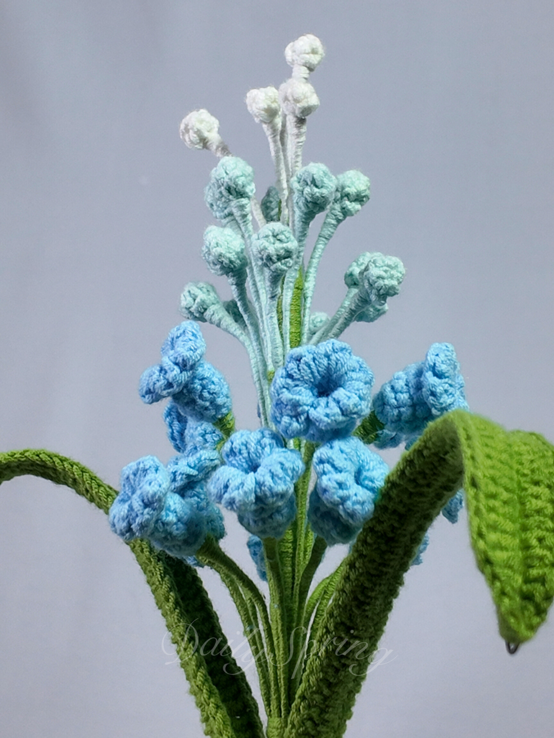 Snapdragons