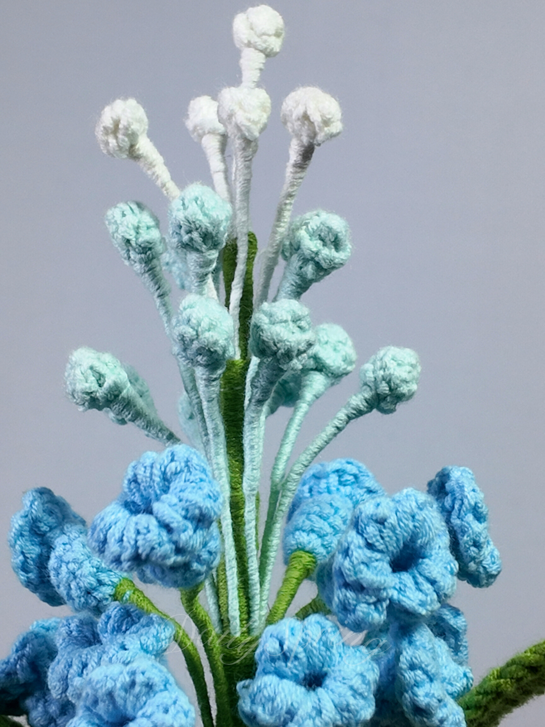 Snapdragons