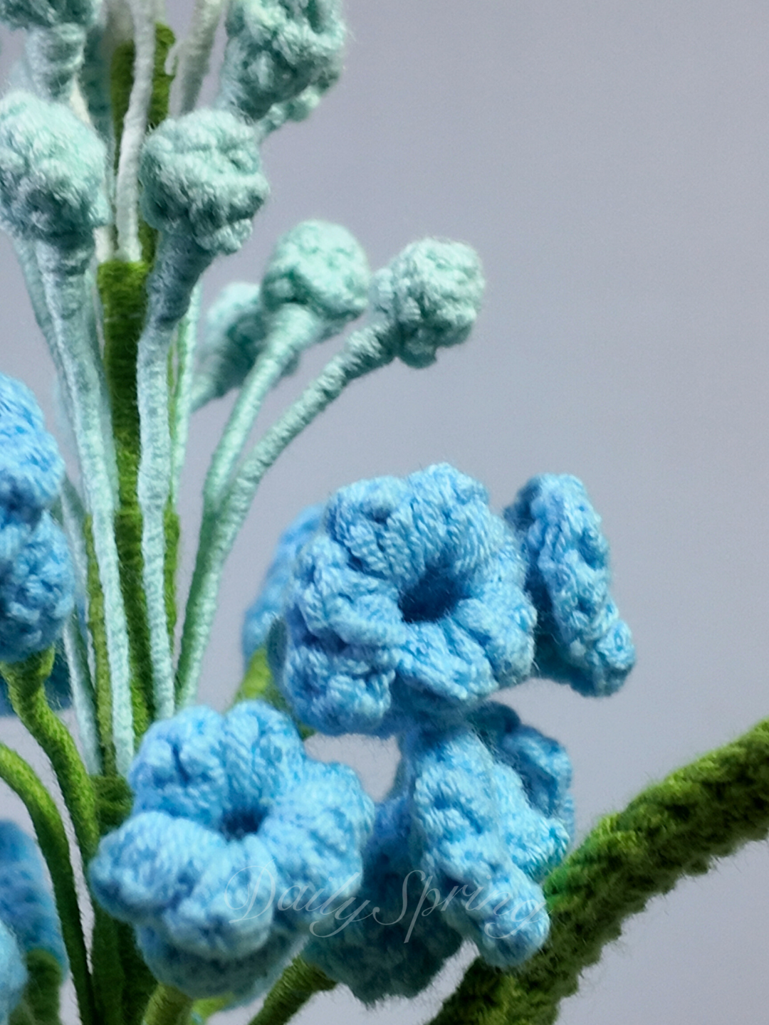 Snapdragons